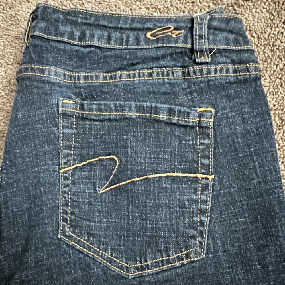Plus size capris - Picture 5 of 5